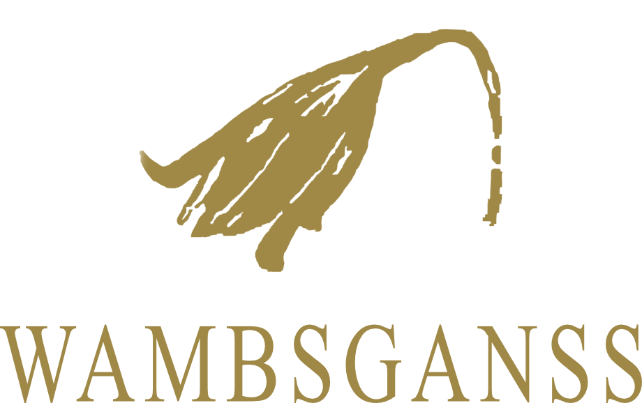 goldene Tulpe, Markenzeichen von Wambsganss